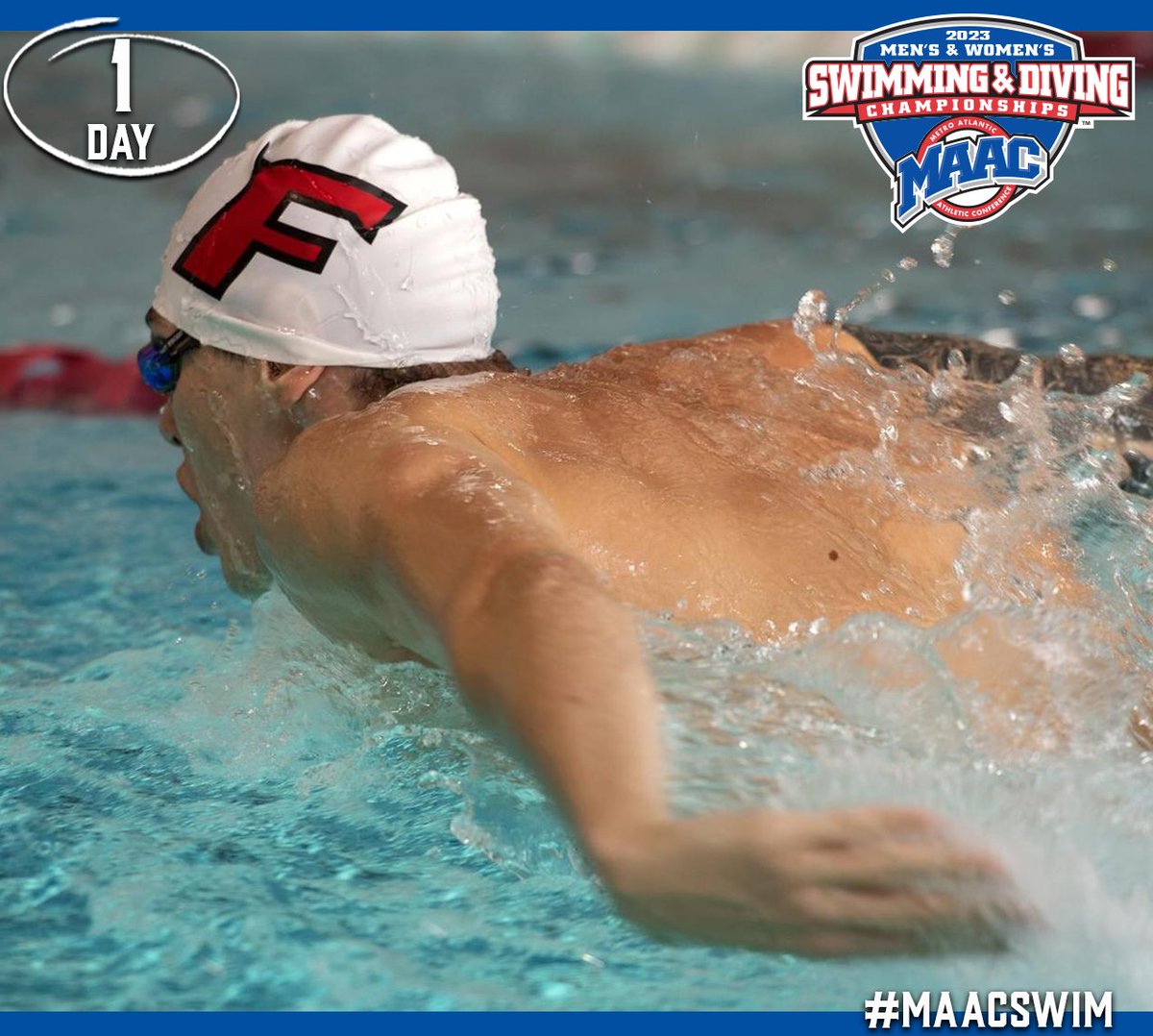 MetroConfSports's tweet photo. 1️⃣ Day until the 2023 MAAC Swimming & Diving Championships! 🚨
🗓: February 8-11, 2023
🏆: https://t.co/XLfPoCp4rV
🎟: https://t.co/dsFHH5b3ST
#MAACSports #MAACSwim https://t.co/Z2wFuPTNqa