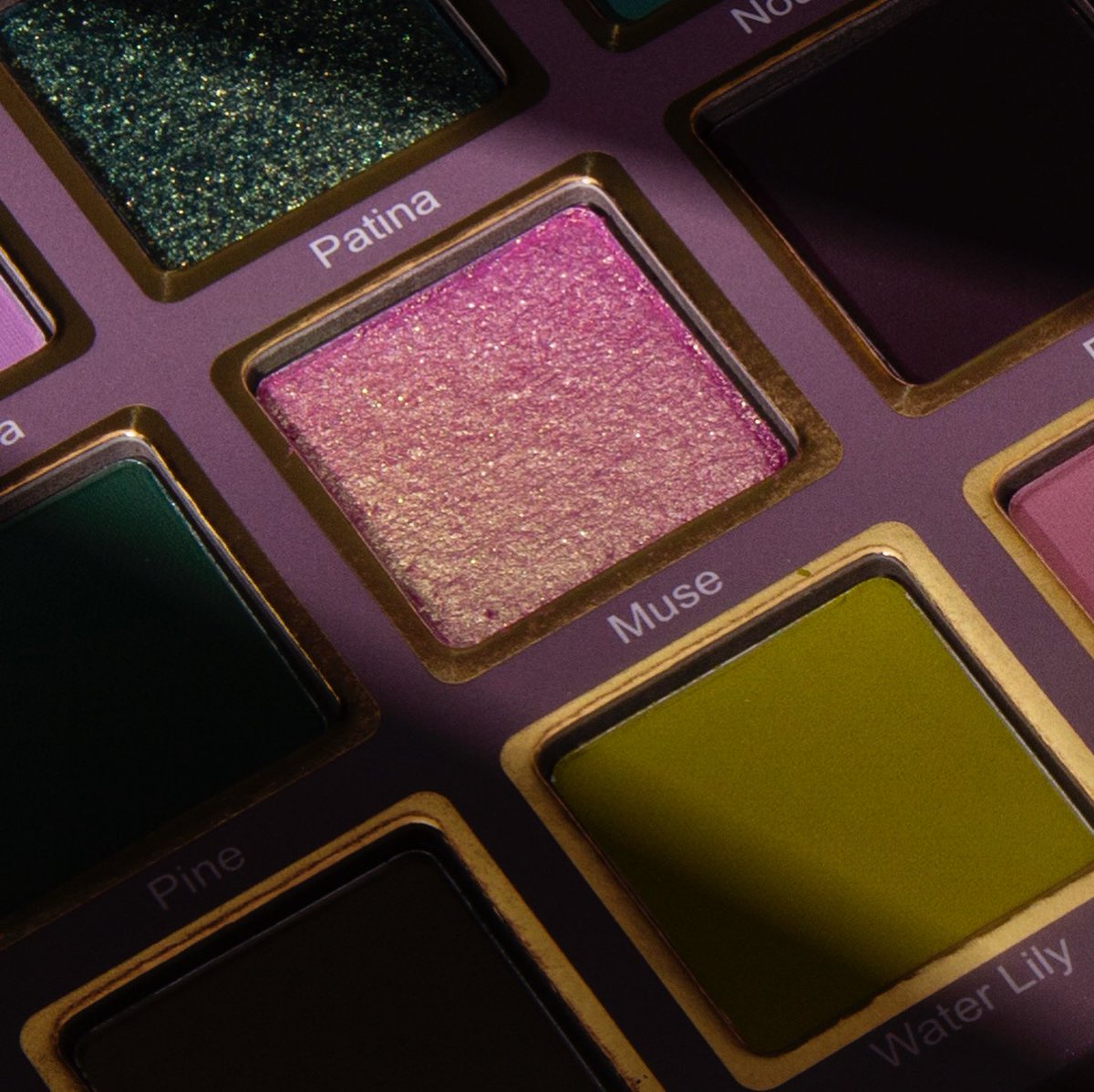 Cosmic Brushes tweet media