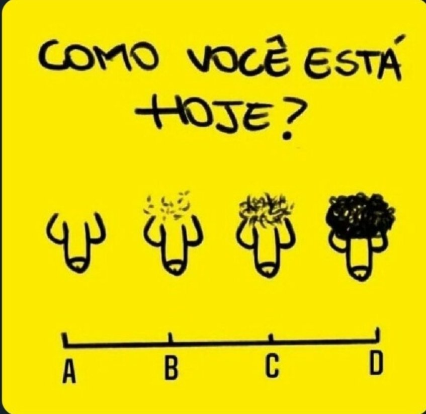 Yasmin Mineira 👩‍🌾 tweet media