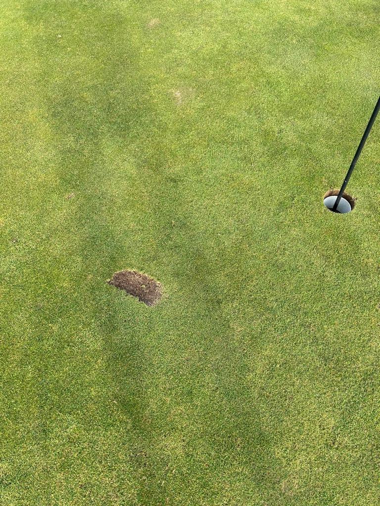 AndrewK46136780's tweet photo. Images that make you physically sick 🤢🤮
#nothappy
#bullbaygolfclub 
😡😡 https://t.co/9fmt22xUKc