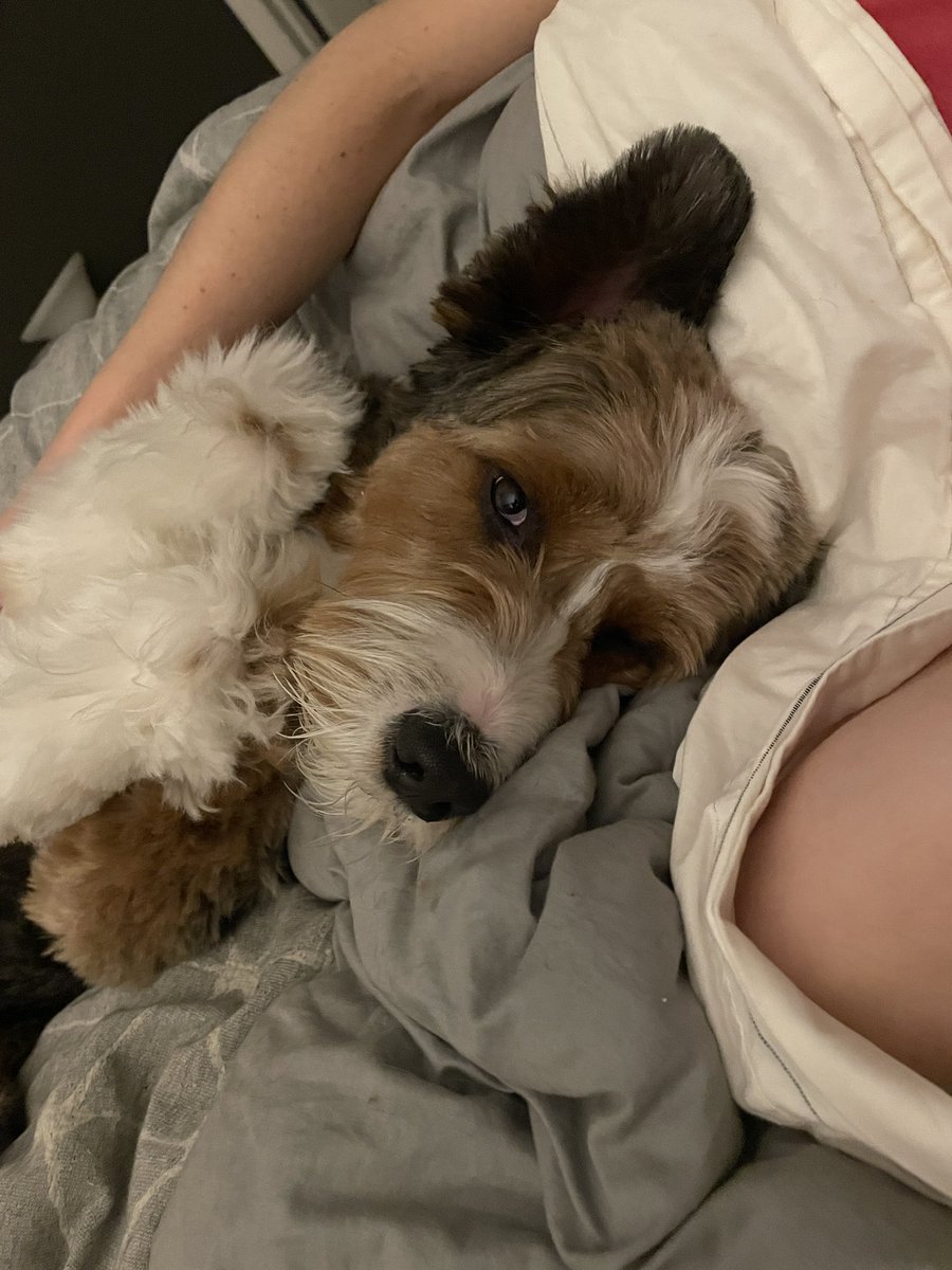 Aaron Benson tweet media