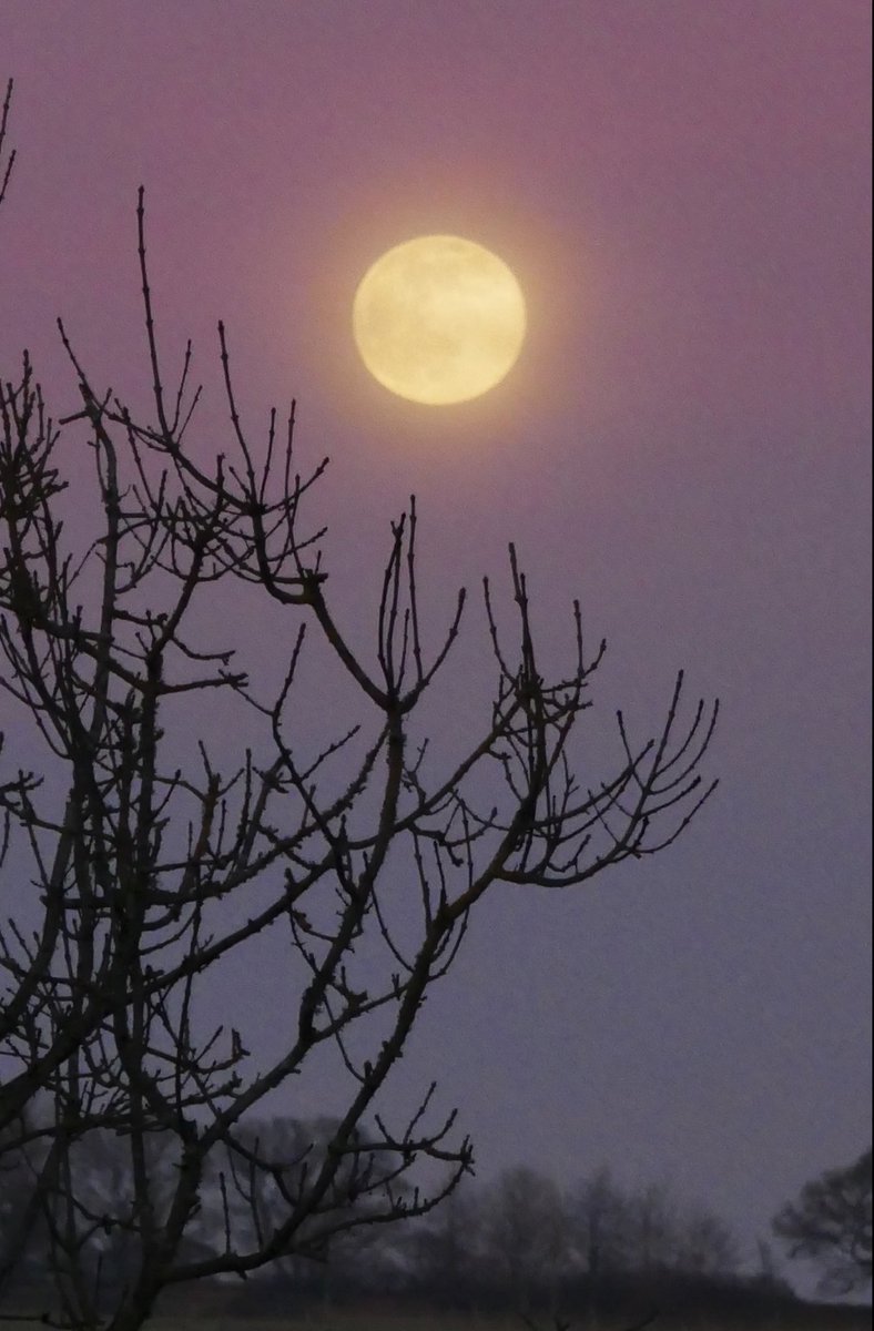 BennettWorld's tweet photo. Lovely moon rising tonight, with misty cloud coloured by the setting sun. https://t.co/xnf2HaiMcA