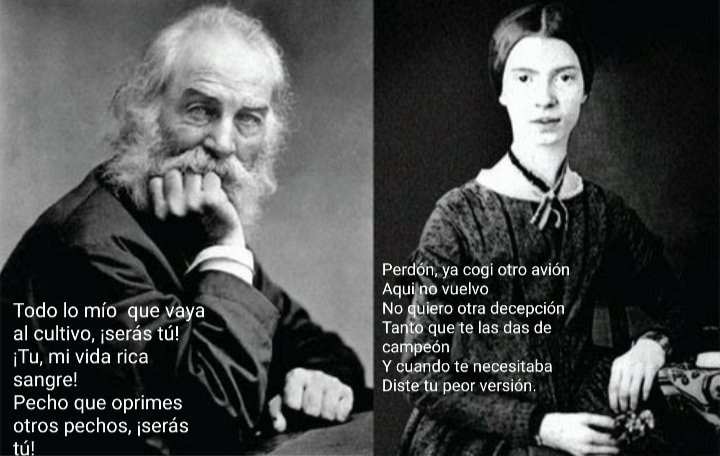 #litmodUA #BZRPMusicSession53 #Shakiradickinson