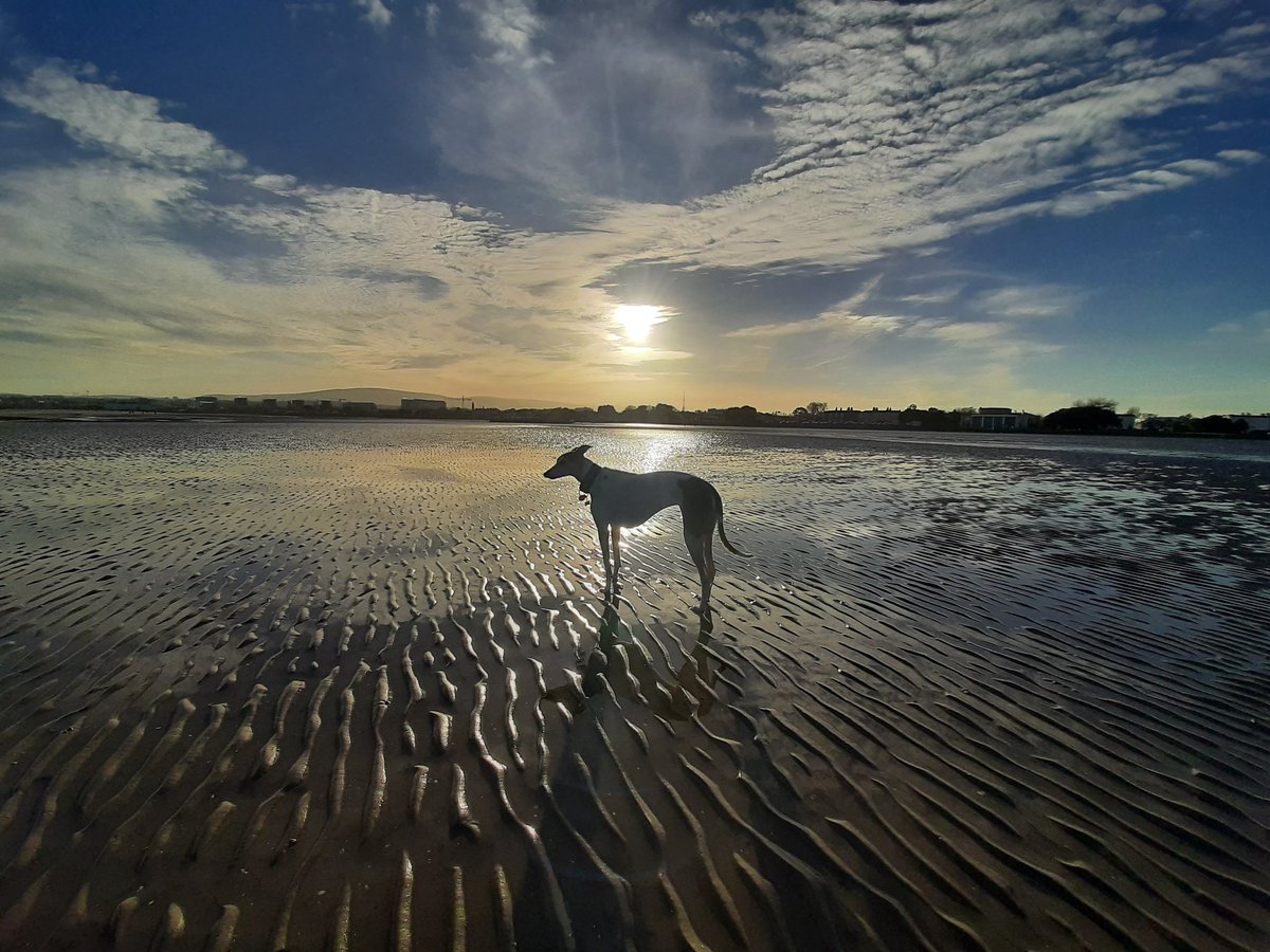 Marty Wardick tweet media