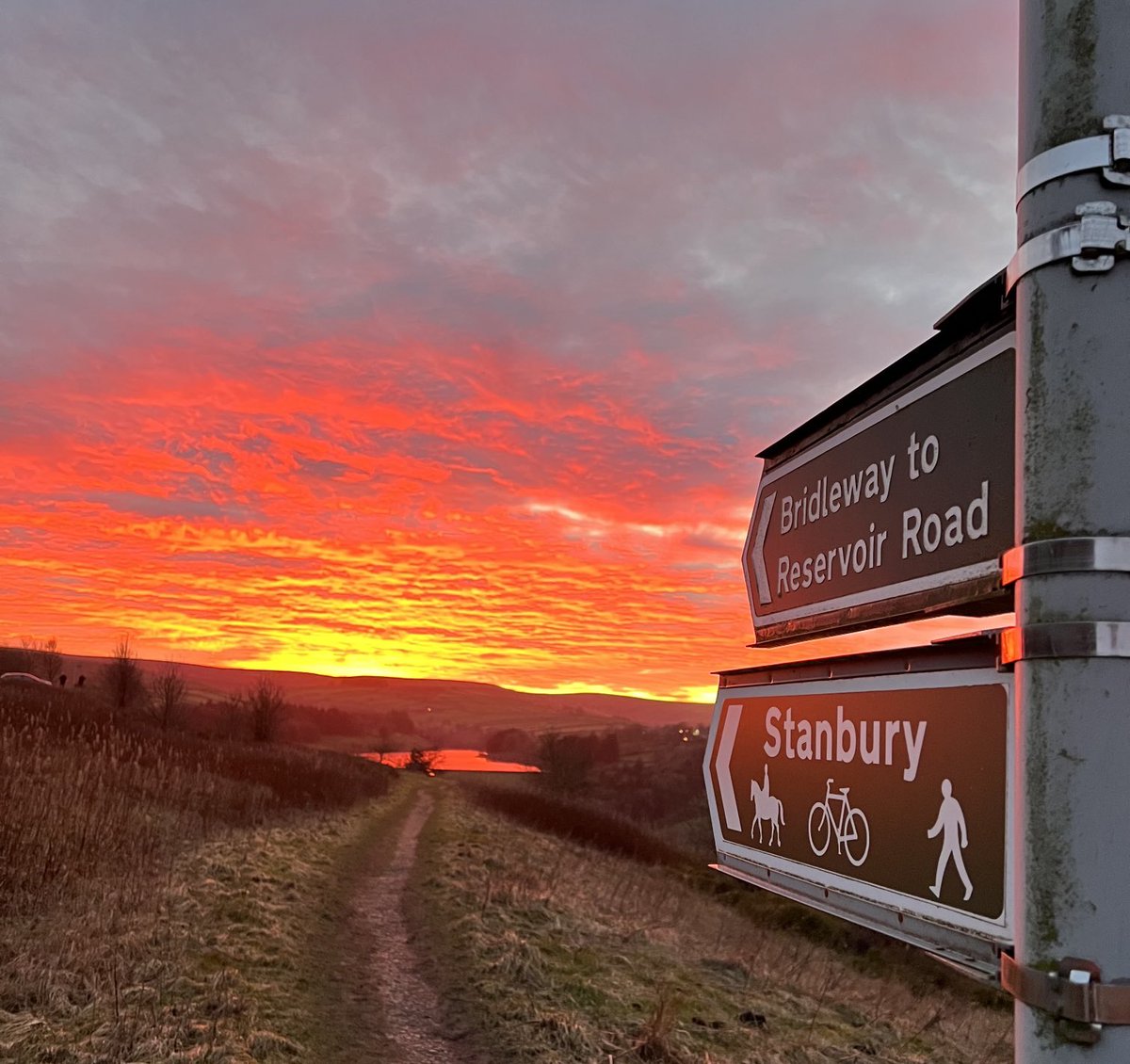 Boz Boston tweet media