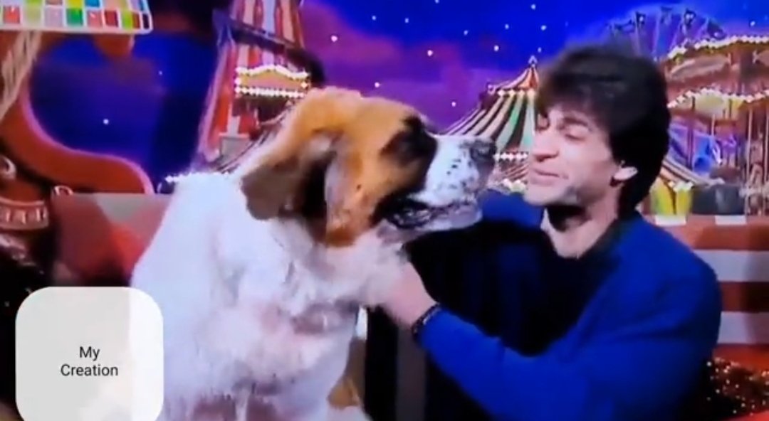 itsalifes's tweet photo. @ColorsTV @BhanotShalin @BeingSalmanKhan Is ghar k insano se jyada Mahin ne shalin ko samjha hai..
Best bond .. janwar ko insan se jyada parakh hai achhe logo ki isiye baki sabko chhod #Mahin hamesha SHALIN ke aath rehti hai....

SHALIN DESERVES BB16 TROPHY
#ShalinBhanot https://t.co/njAcOHWaTs