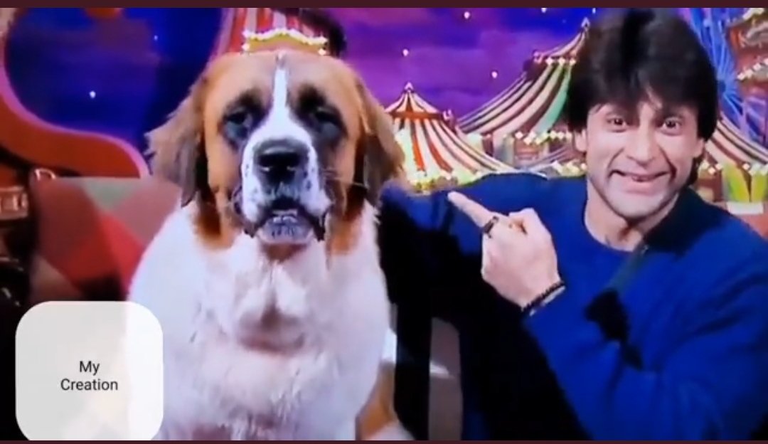 itsalifes's tweet photo. @ColorsTV @BhanotShalin @BeingSalmanKhan Is ghar k insano se jyada Mahin ne shalin ko samjha hai..
Best bond .. janwar ko insan se jyada parakh hai achhe logo ki isiye baki sabko chhod #Mahin hamesha SHALIN ke aath rehti hai....

SHALIN DESERVES BB16 TROPHY
#ShalinBhanot https://t.co/njAcOHWaTs
