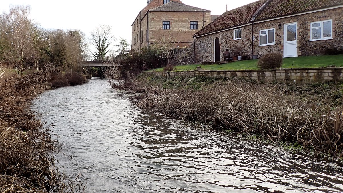 numenini's tweet photo. Invigorating snootle up Lark in full chalk stream mode, to Gas Pool where retrieved a fishing lure & donated to angler on bank. He'd caught a Roach but we saw only tinys. Wonder about the inflow coming in from South bank? #riverlark #chalkstreams #RLCP #Suffolk #naturelovers 4/4 https://t.co/yvnkRjiBHt