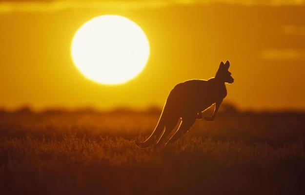 SmartGreenGrou1's tweet photo. Community Land Trusts are the closest legal structure to indigenous cultural values that we can implement in our urban environments. They are structures built on community, reciprocity and custodianship 

#communitylandtrusts #Firstnations #communitydevelopment https://t.co/3W7JPqrFPS