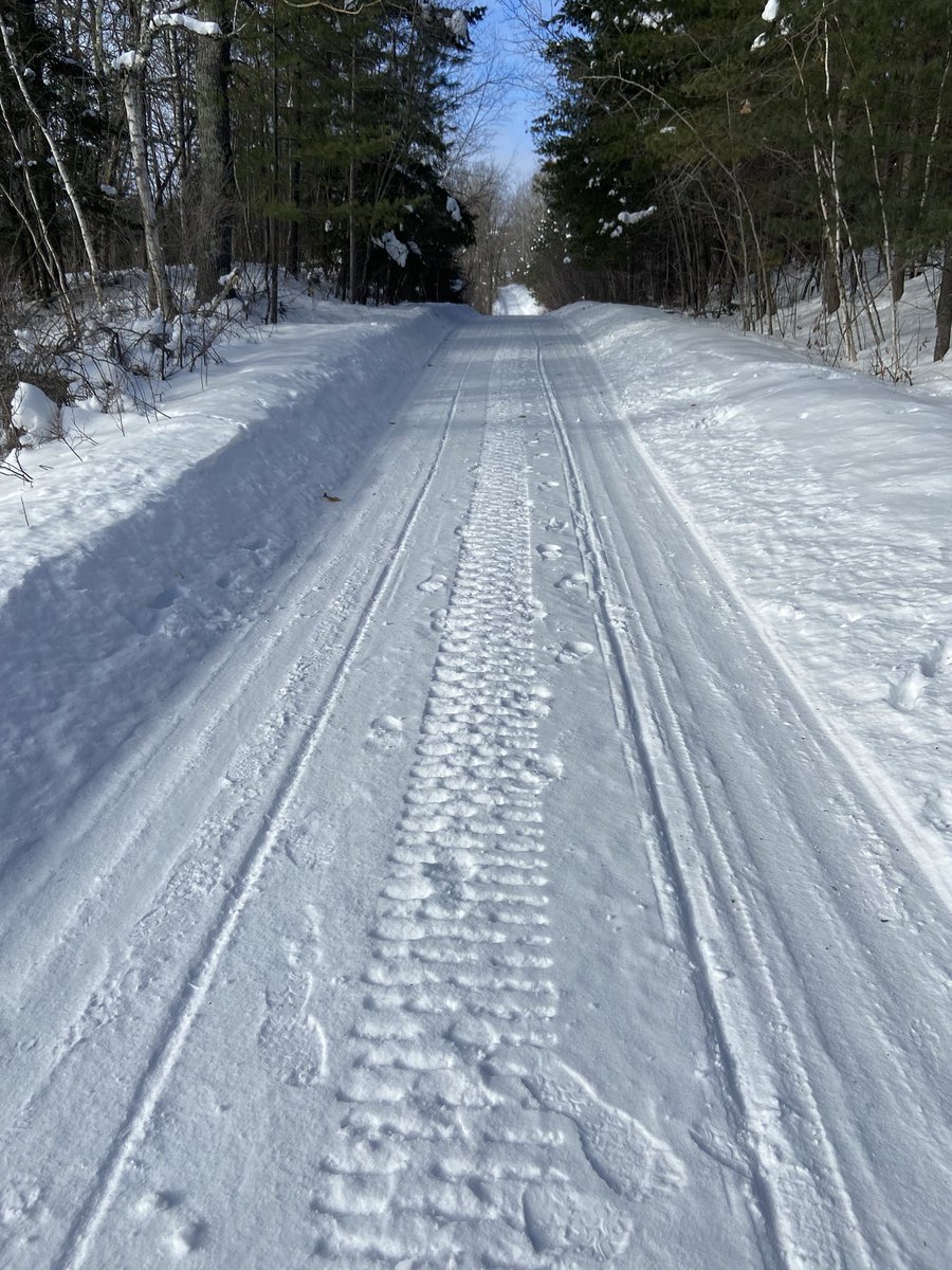 Amy Patton tweet media