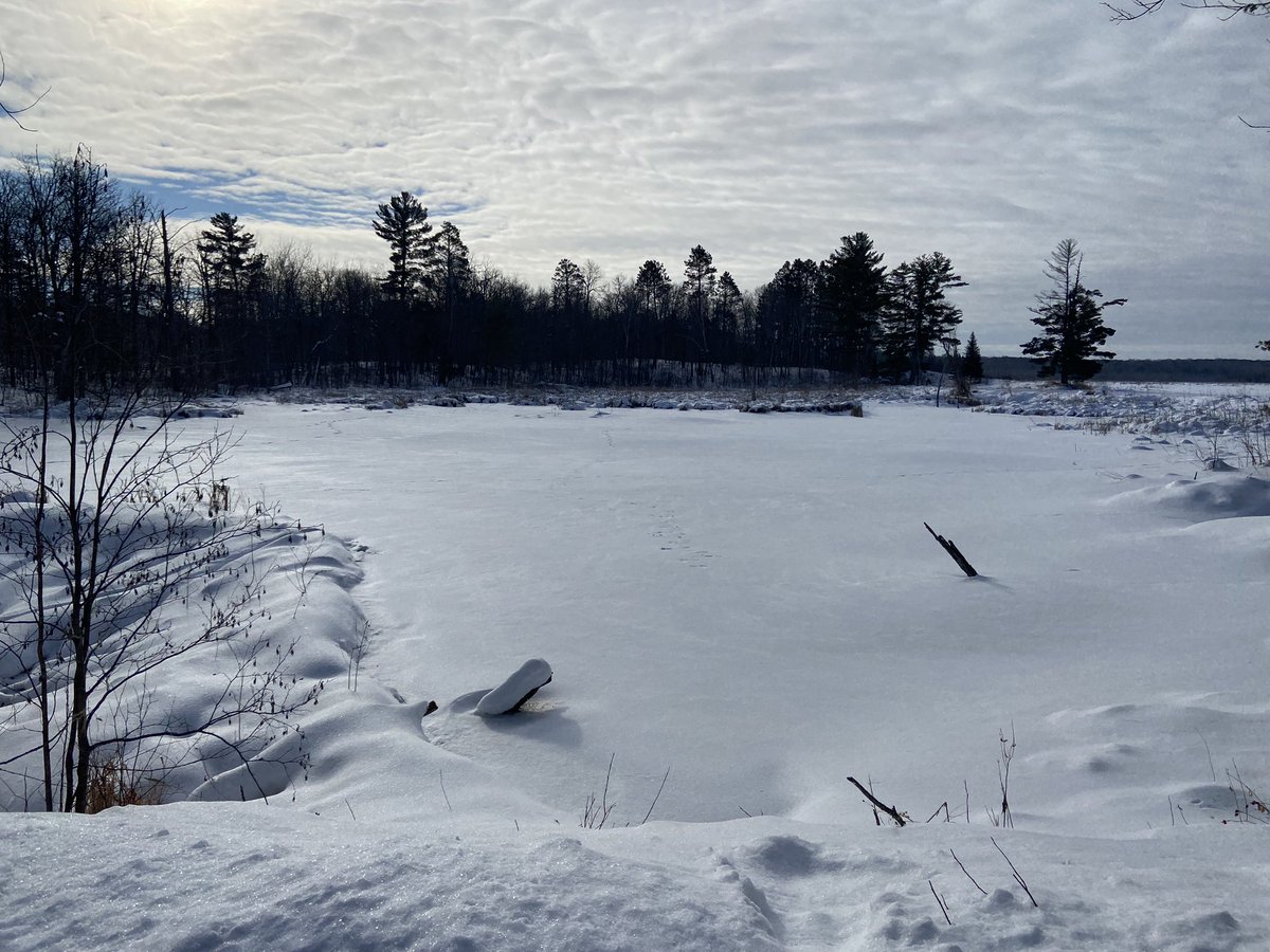 Amy Patton tweet media