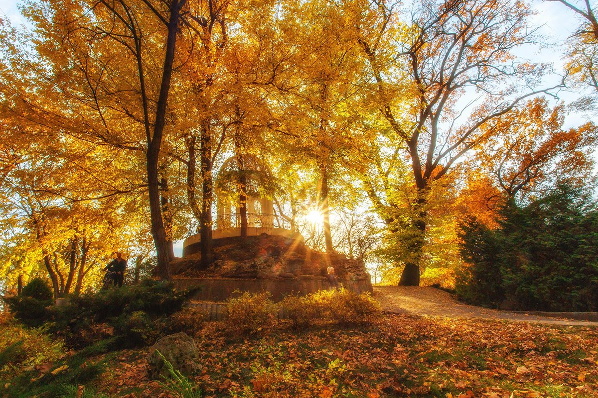 profes_yonel's tweet photo. #forest #landscape #pine #leaf #soil #grass #rock #lake #water #cloud #mountain #hills #summer #autumn #sunset #evening #day #roads #boat #lighthouse #sky #winter #snow #nature #green #colors #flowers #spring #desert #house #river #stream #village #rain #countries #night #kar https://t.co/FLIckeNA5H
