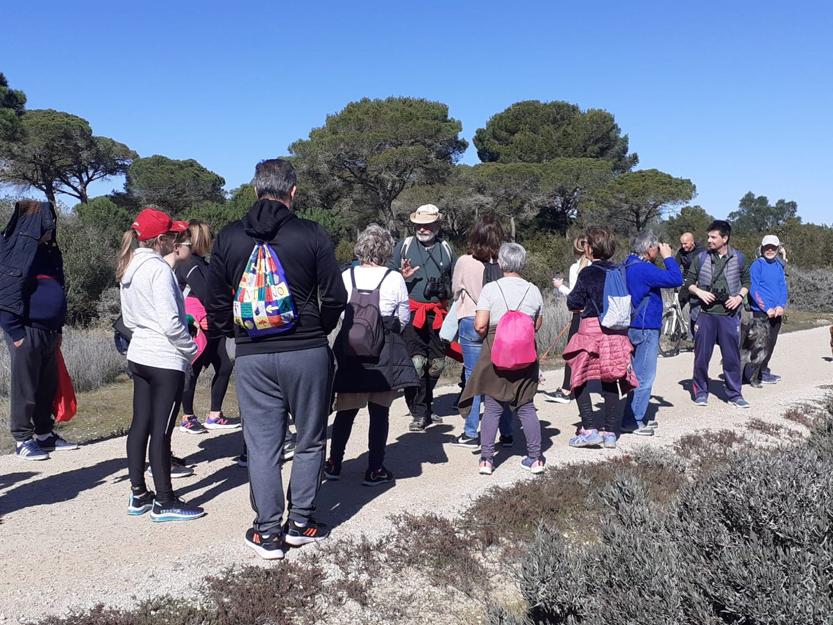 ParqueTorunos's tweet photo. Imagenes de la ruta guiada por las lagunas temporales y el pinar de la Algaida, actividad programada por
el #DíaMundialdelosHumedales
#DMH2023 #CasadelosToruños
@carsaba @TurismoElPuerto @aytopuertoreal @CadizJunta @FomentoAND https://t.co/wPKySWdiof