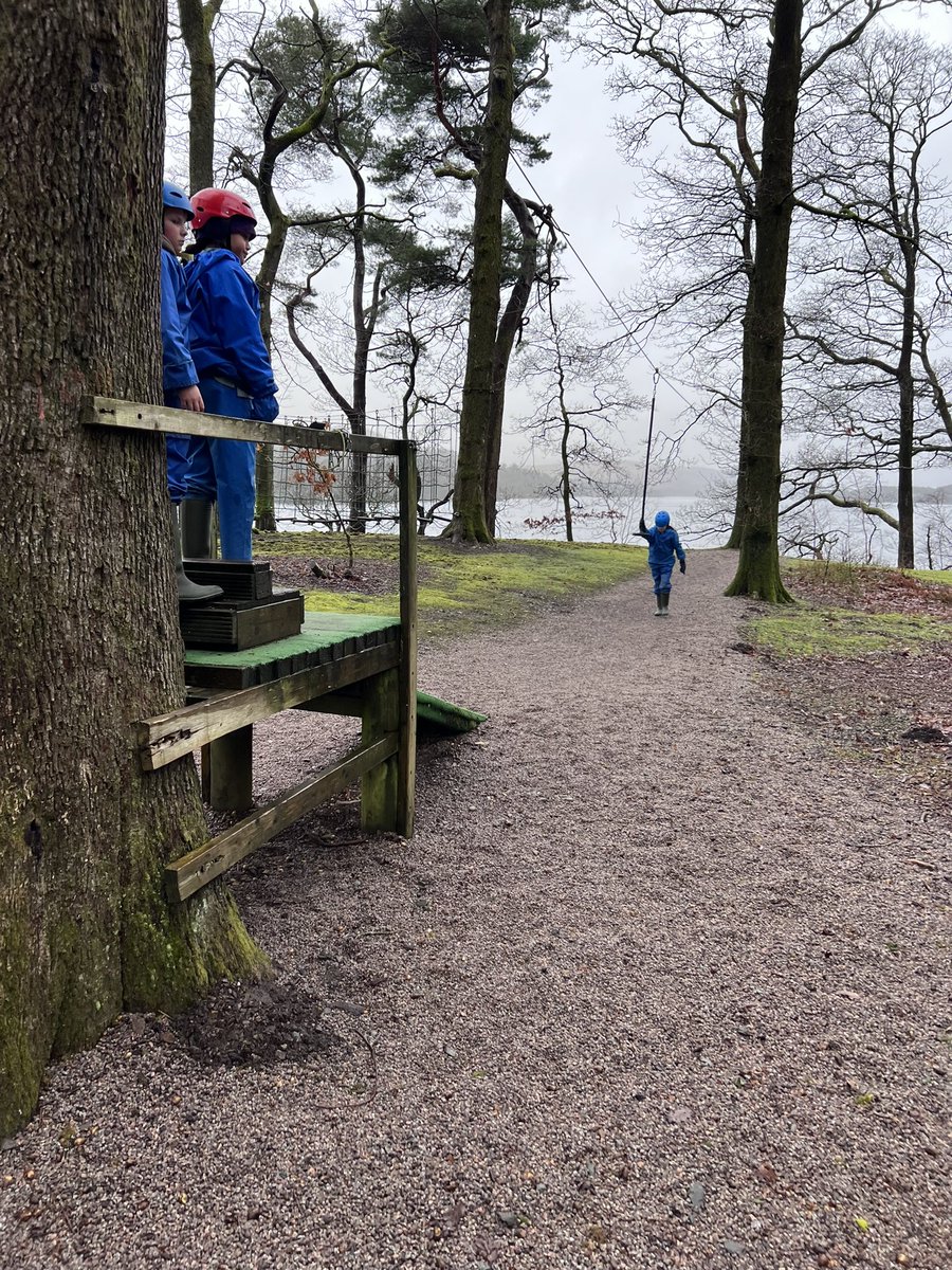 Carleton Green tweet media