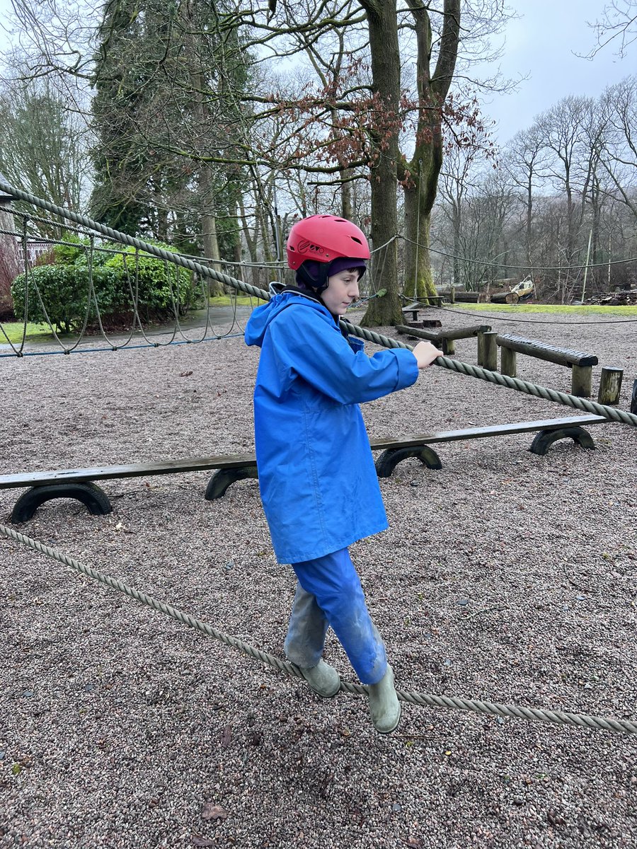 Carleton Green tweet media