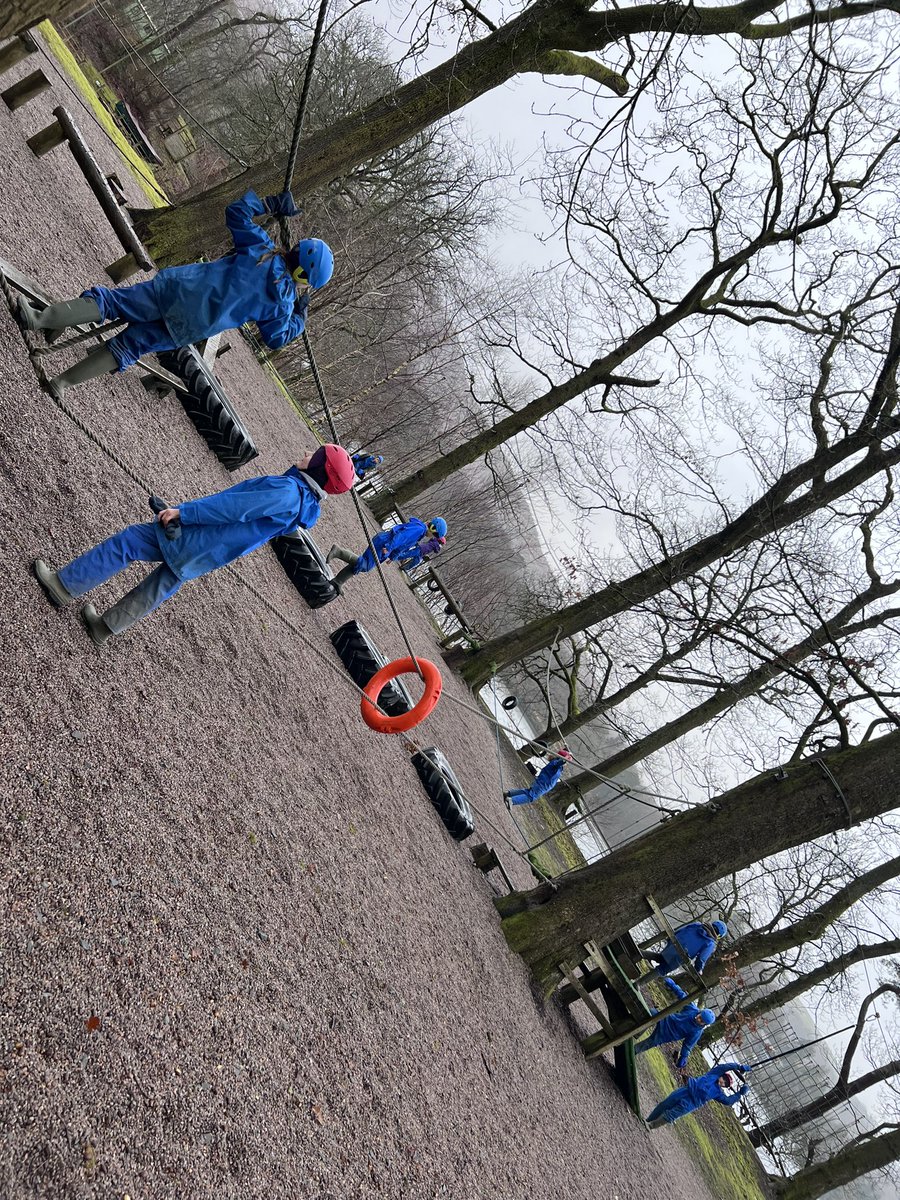 Carleton Green tweet media