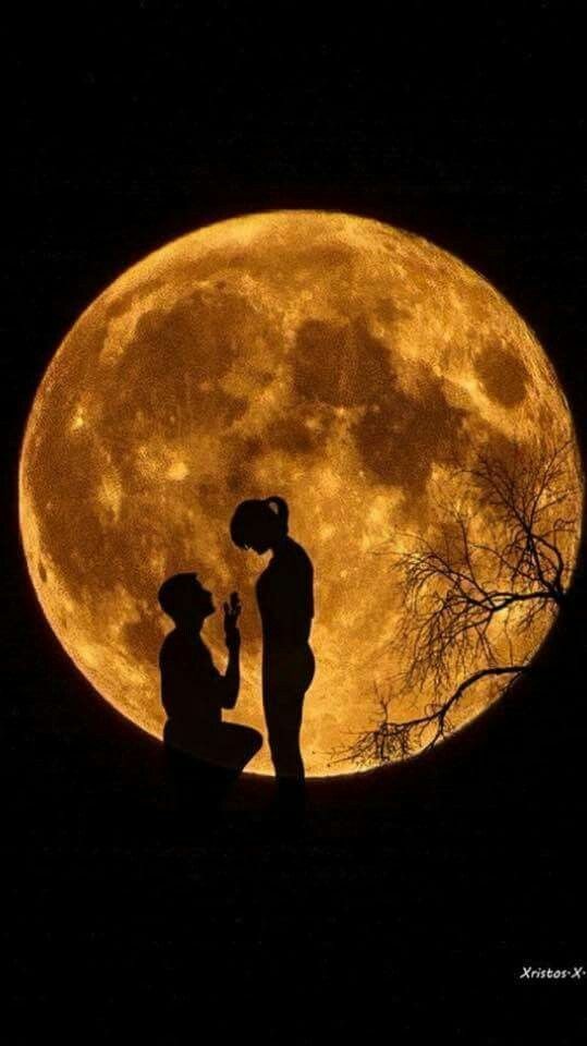 filhas_lua's tweet image. Vem cá, a lua tá cheia
Vamos contar histórias, falar de coisa boa