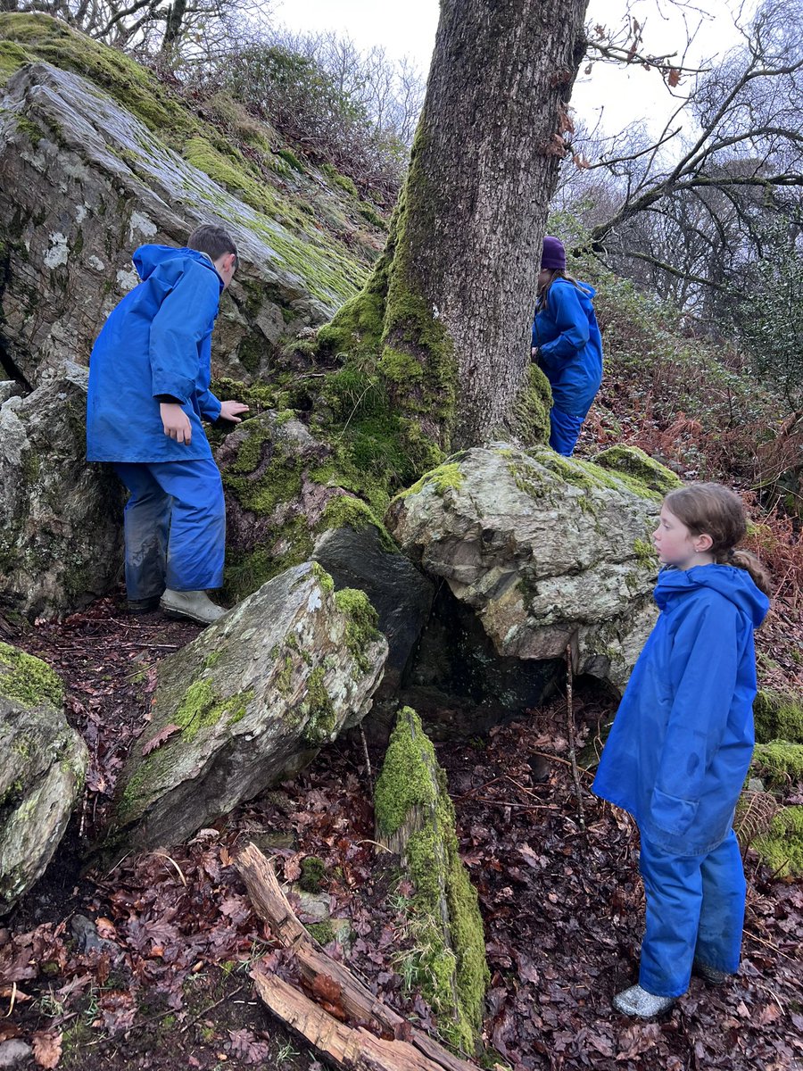 Carleton Green tweet media