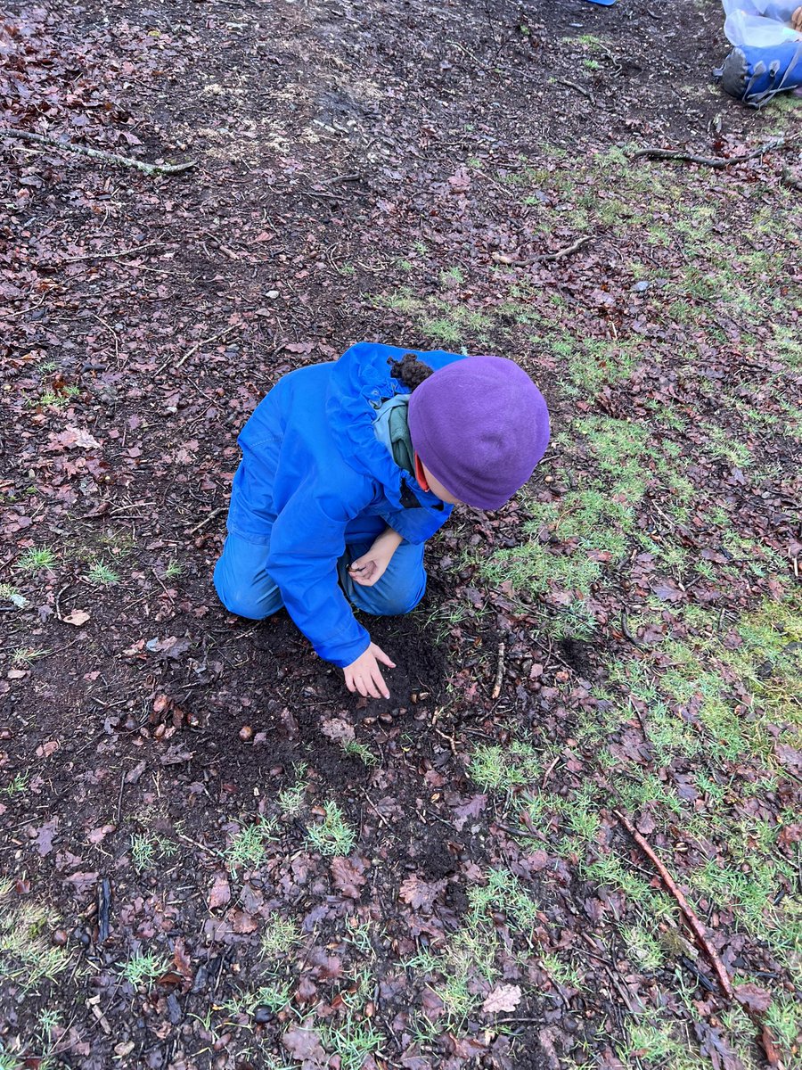 Carleton Green tweet media