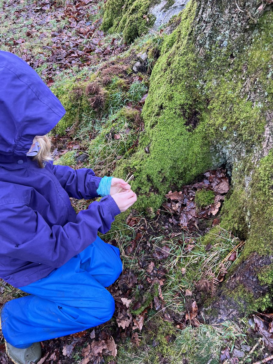 Carleton Green tweet media