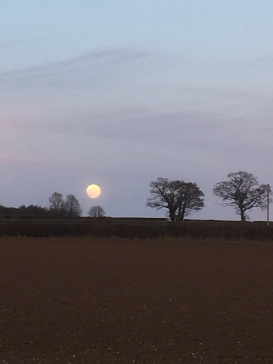 Attention2place's tweet photo. #9hourslater Moon rising over wintry fields and sun setting in the West #morethanhumanencounters #celestialwonders https://t.co/PArSvWLbG0