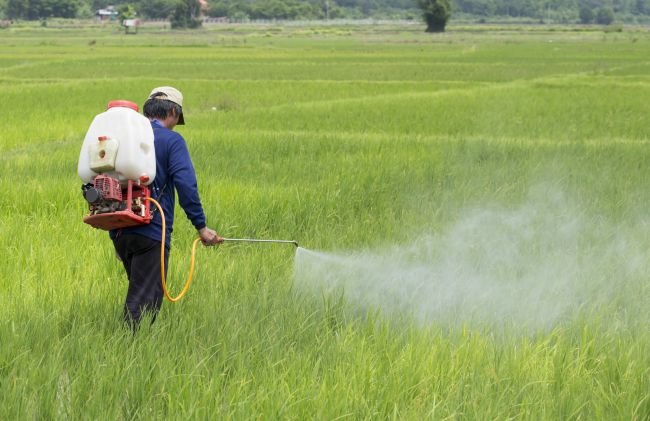 AgriculturePost's tweet photo. How does agri input industry see the Union Budget 2023-24? 

#Click 2 Read: https://t.co/yCs7vaBWlZ

#Budget2023 #AgriInputs #Agriculture #Startups #PrecisionFarming #CleanPlantProgram #SustainableAgriculture #ValueChain #Millets @PIBAgriculture https://t.co/tDcYewkOyO