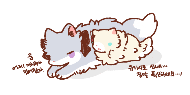 세계서열 0위 늑대인 그놈과 크림강아지