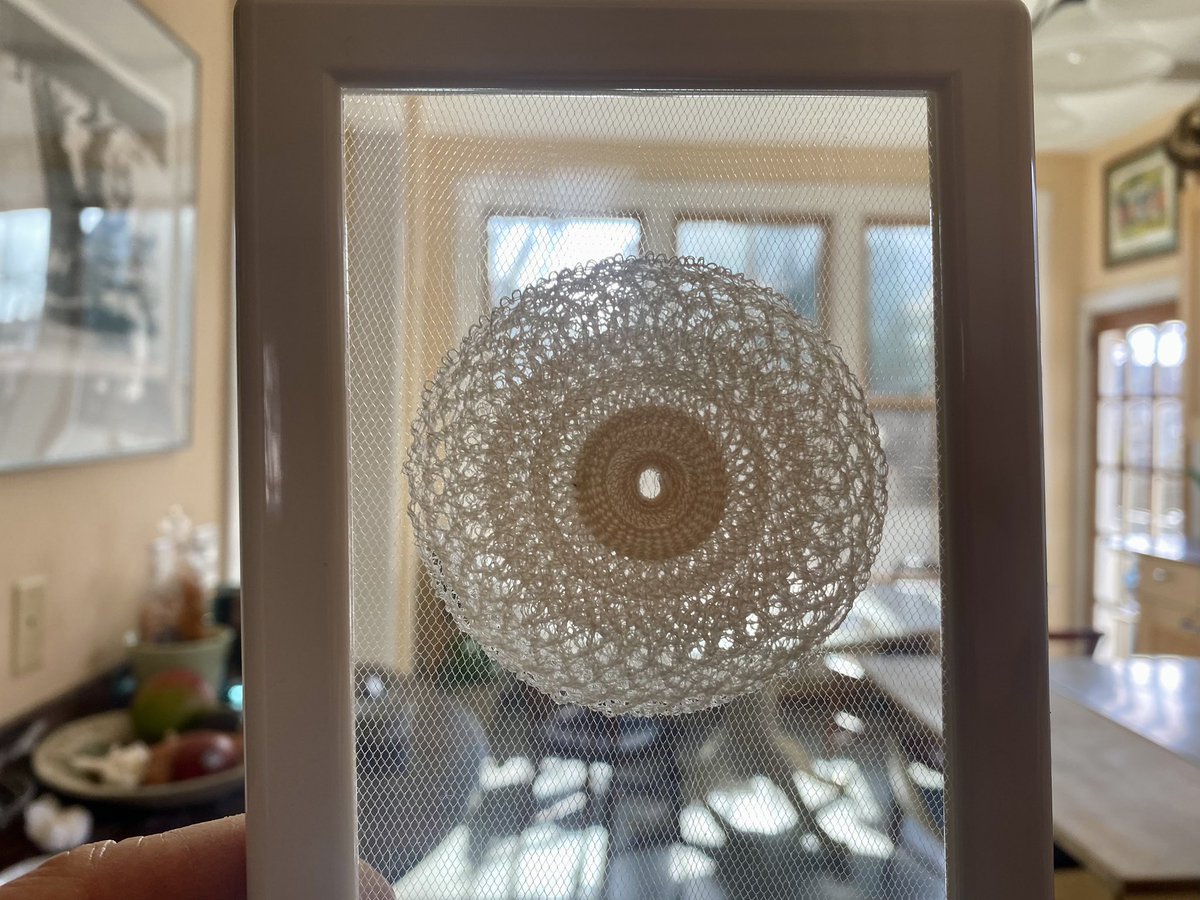 Elizabeth Lloyd tweet media