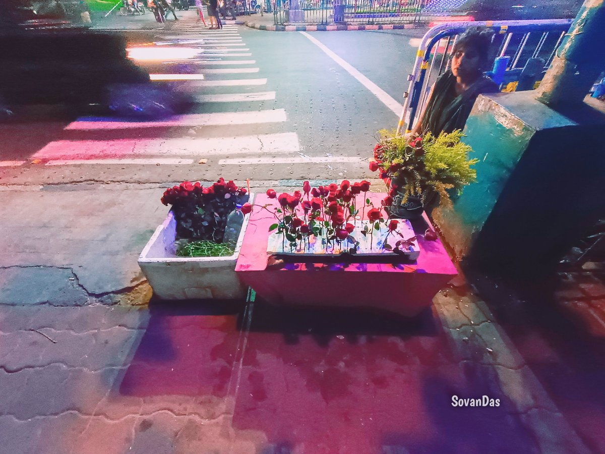 imSovanDas's tweet image. হাজারো ভালোবাসা বিক্রেতা,আমার ভালোবাসার শহরে ভালোবাসা কেনা ও বিক্রি হয়;তাই আজকাল ভালোবাসা বদনাম।ভালো থাকুক তারা ভালোবেসে ভুলে যায় যারা।  #SadStatus #LoveStatus #HateYou #Breakup #LoveBreakup #Photography #photographer #cityofjoy #VictoriaMemorial #Kolkata #sovanD #WestBengal