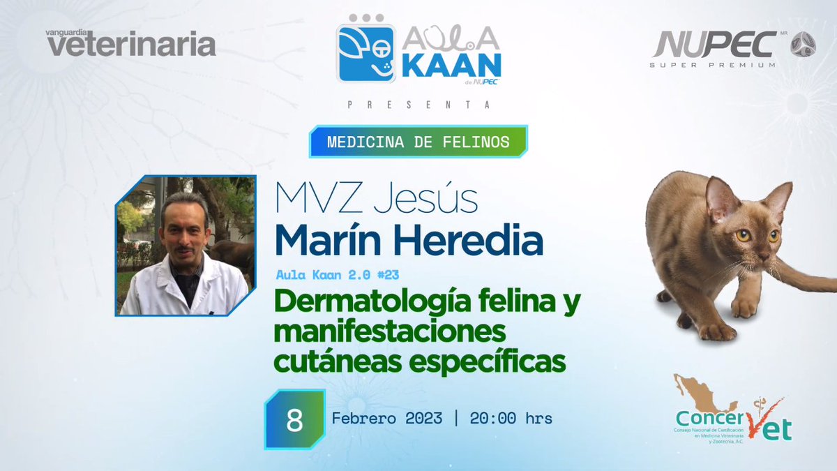 SQUENDA's tweet photo. 💻Dermatología felina y manifestaciones cutáneas específicas
👤MVZ Jesús Marín Heredia
📆8 de febrero 2023 | 20:00 hrs 
😉Organizador: #AulaKAAN #NUPEC
🎥Transmisión: #VanguardiaVeterinaria
📭Pide link a informes@squenda.com.mx con tu NOMBRE+WHATSAPP+NOMBRECURSO 
 #AlianzaSquenda https://t.co/5KfsY2oMTE