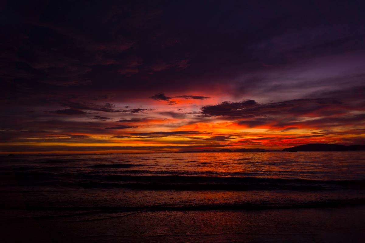 DanThΞMan Photography 📸 tweet media