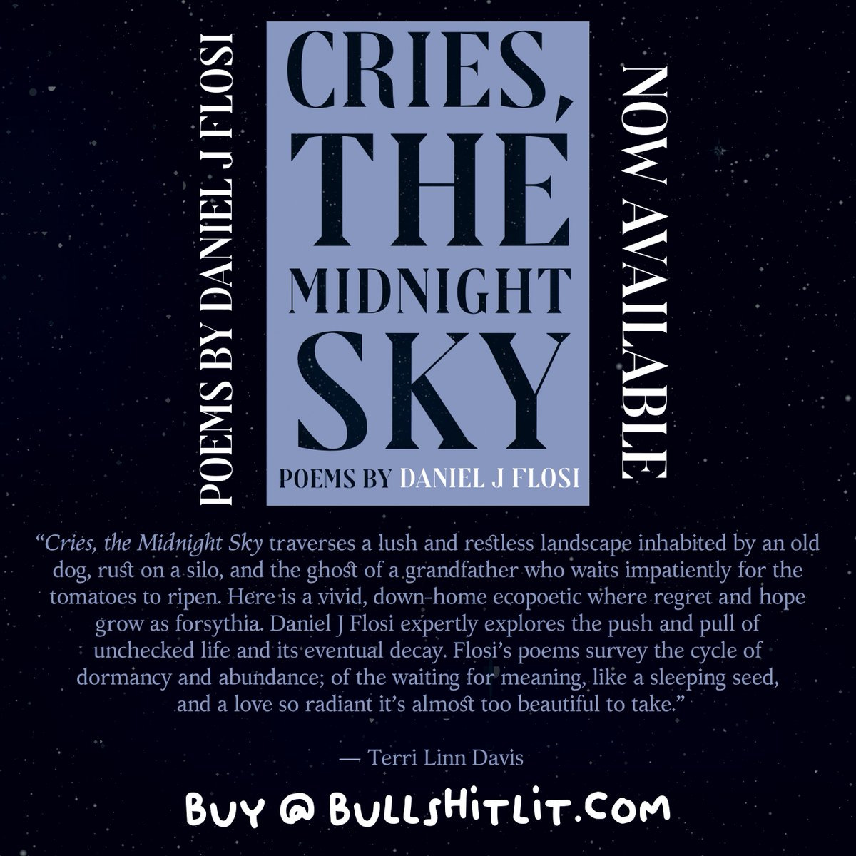 BULLSHIT LIT tweet media