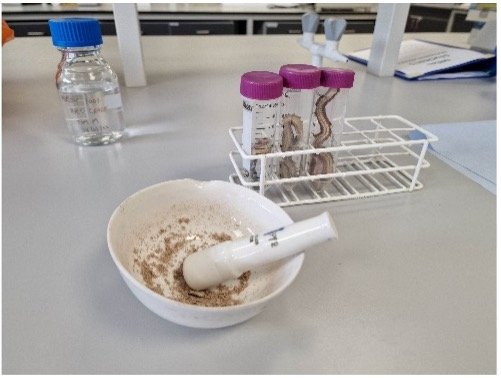 Clean Harbours Partnership (@cleanharbours) on Twitter photo We want to understand the risks and bring polluters to account. A study under the guidance of <a href="/DrAlexFord/">Prof Alex Ford</a> at <a href="/portsmouthuni/">University of Portsmouth</a>; Dr Thomas Miller <a href="/Bruneluni/">Brunel University of London</a>; and Prof Peter Hammond <a href="/watervole3/">Peter Hammond</a> from <a href="/WindrushWasp/">Windrush WASP</a> will shed light on 'What's really in the water'
#waterpollution #sewage We want to understand the risks and bring polluters to account. A study under the guidance of <a href="/DrAlexFord/">Prof Alex Ford</a> at <a href="/portsmouthuni/">University of Portsmouth</a>; Dr Thomas Miller <a href="/Bruneluni/">Brunel University of London</a>; and Prof Peter Hammond <a href="/watervole3/">Peter Hammond</a> from <a href="/WindrushWasp/">Windrush WASP</a> will shed light on 'What's really in the water'
#waterpollution #sewage
