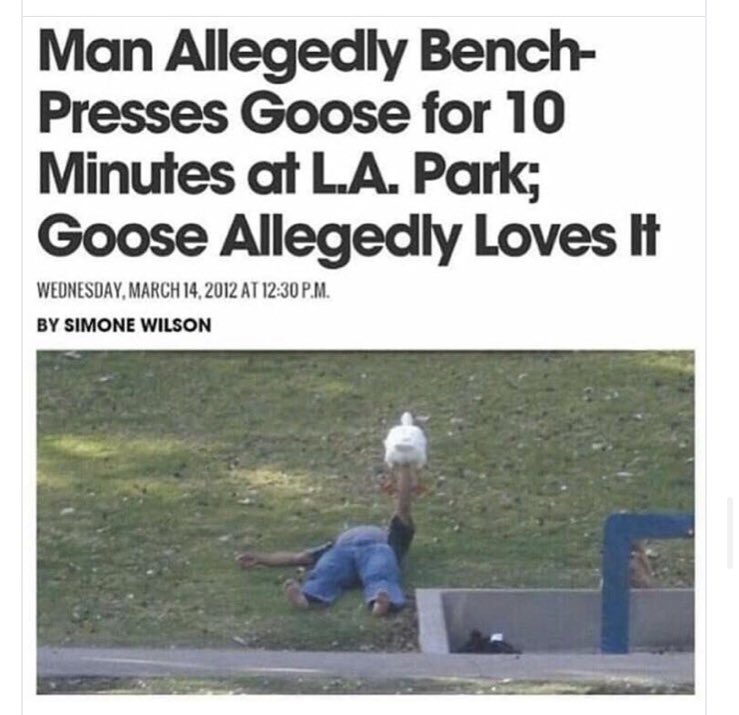 Crap Local News tweet media
