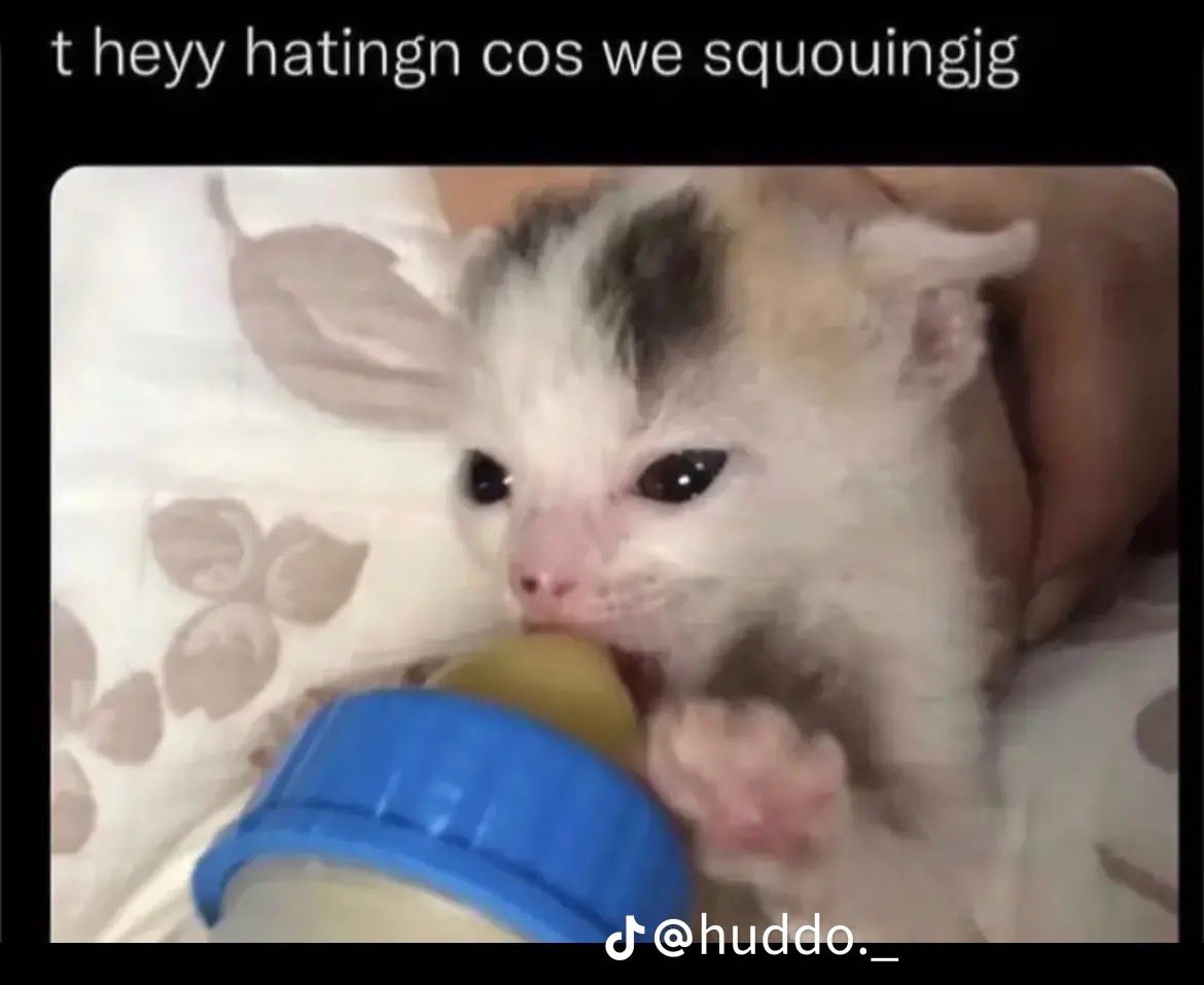 currently on my puter tweet media