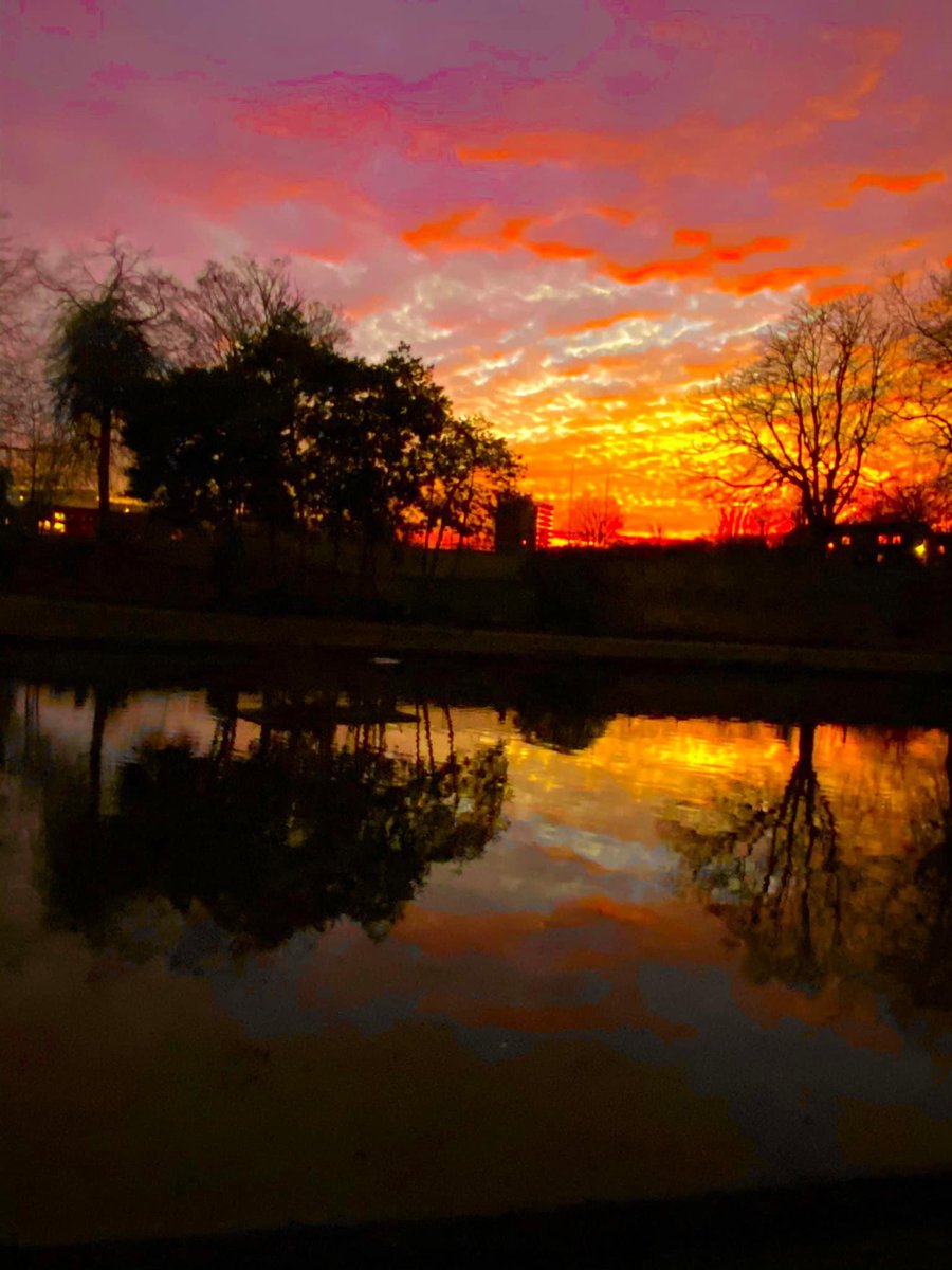 Full Moon-blessed sky over Greenbank Park in Liverpool