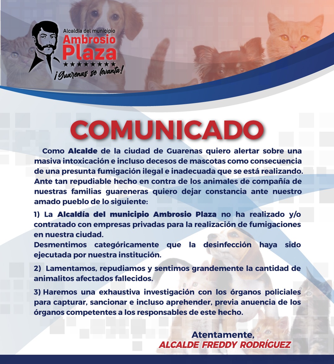 Asocasarapa's tweet photo. https://t.co/qcqaHg0GHN