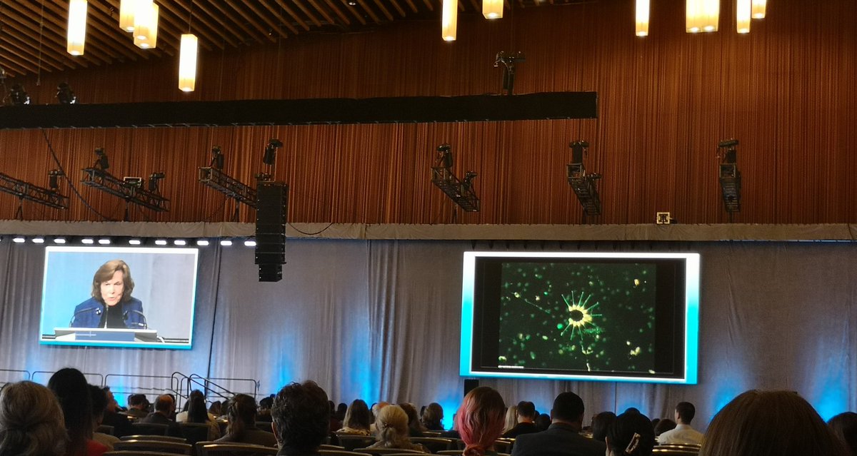 Gala Podgornik tweet media