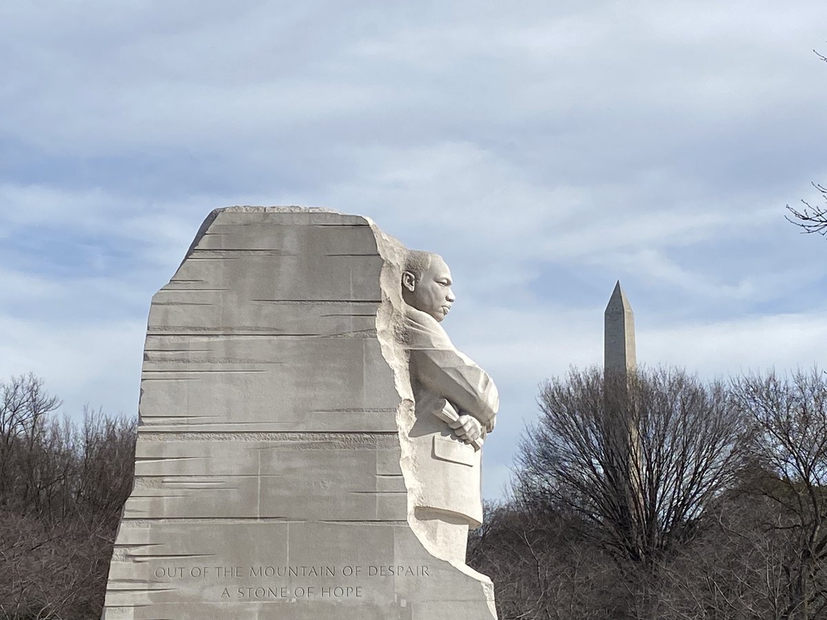 Terri McDaid tweet media