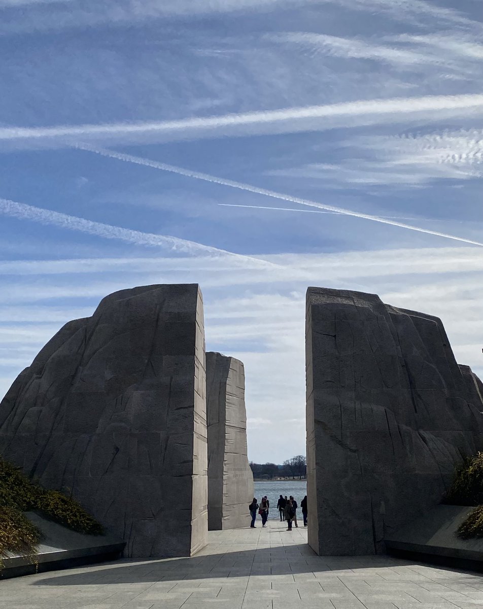 Terri McDaid tweet media