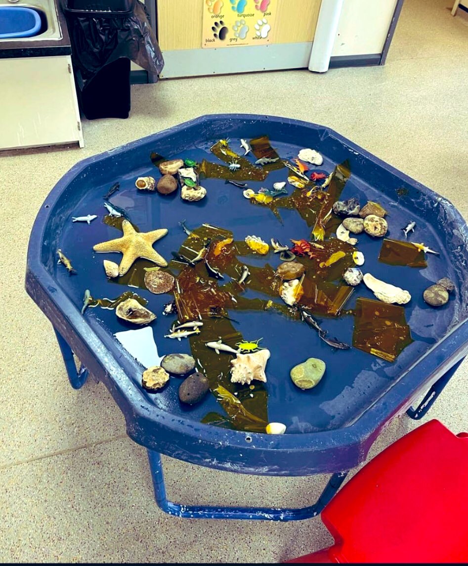 Little Nipperz Chelmsford tweet media