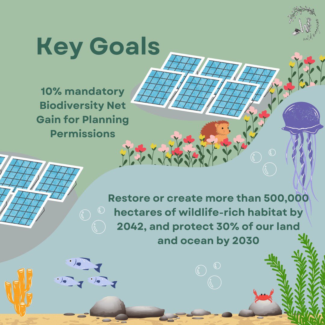wildmagazineUK's tweet photo. Find out more about the UK Government’s Environmental Improvement Plan 2023…🌳
#nature #howtobewild #ukpolicy https://t.co/04vh8PYUyV