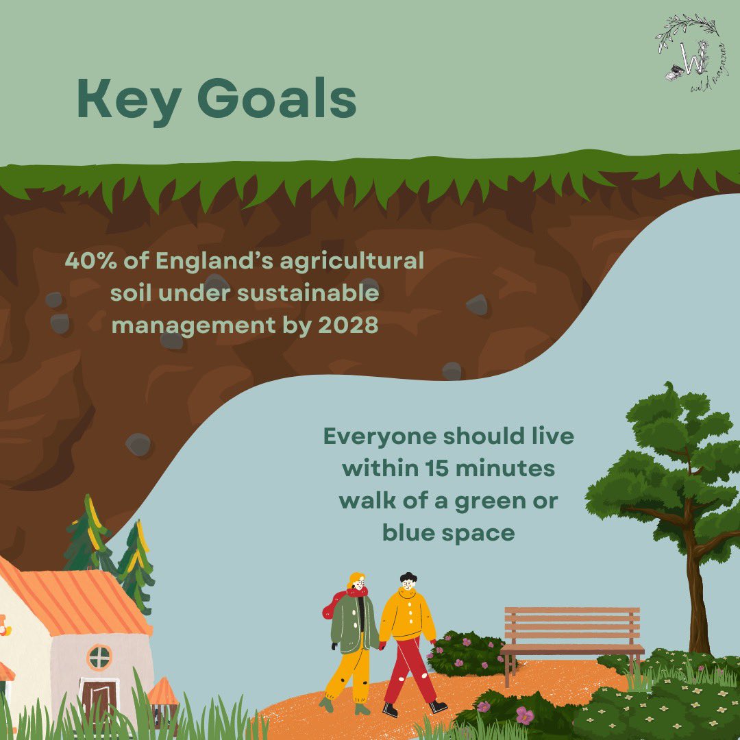 wildmagazineUK's tweet photo. Find out more about the UK Government’s Environmental Improvement Plan 2023…🌳
#nature #howtobewild #ukpolicy https://t.co/04vh8PYUyV