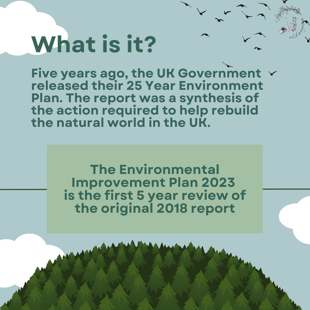 wildmagazineUK's tweet photo. Find out more about the UK Government’s Environmental Improvement Plan 2023…🌳
#nature #howtobewild #ukpolicy https://t.co/04vh8PYUyV