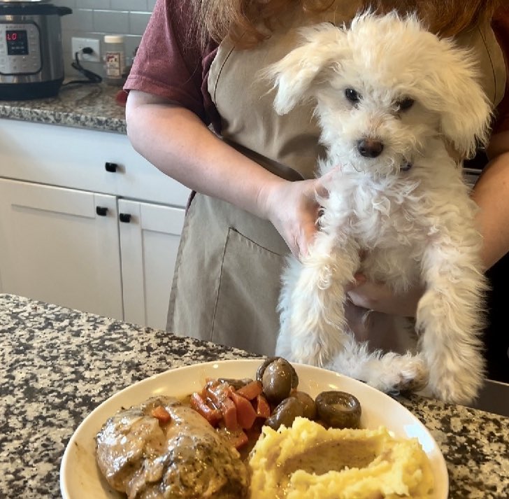 DMPerry_Artist's tweet image. New video!! #crockpot #chicken &amp;amp; gravy. Ultimate comfort food. 

youtu.be/INRDKJa1Etc