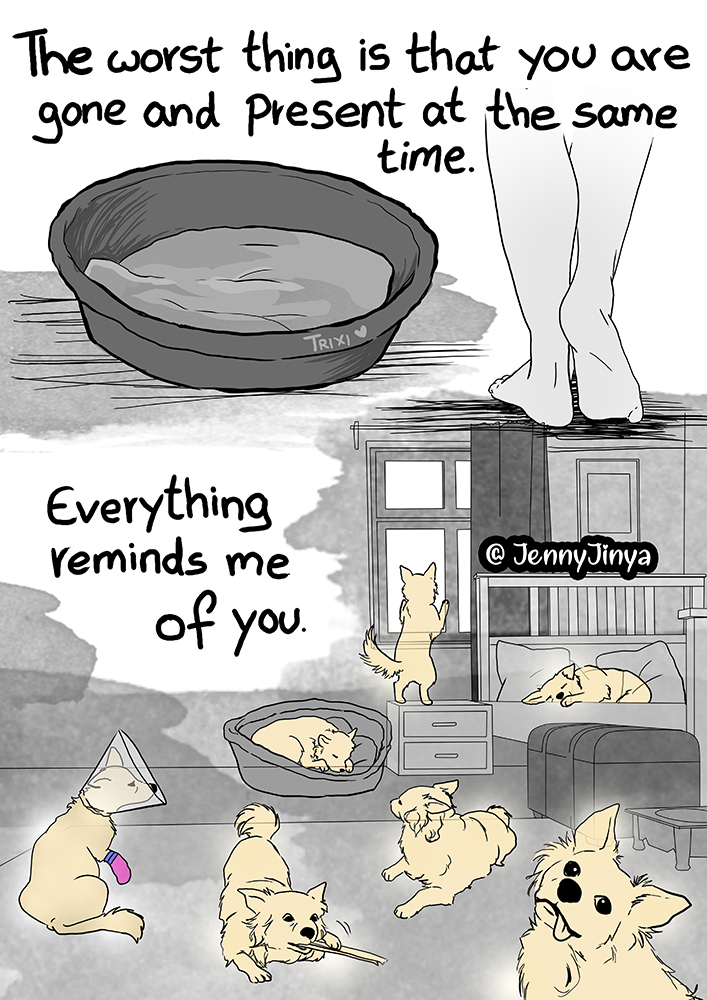 As you might know, my dog lost her battle against her tumor last month. The dog that inspired so many of my comics and was always by my side. This is the most painful piece, but it was therapeutic in a way to say goodbye to Trixi in this way. Goodbye my "curly banana" 💔 1/3