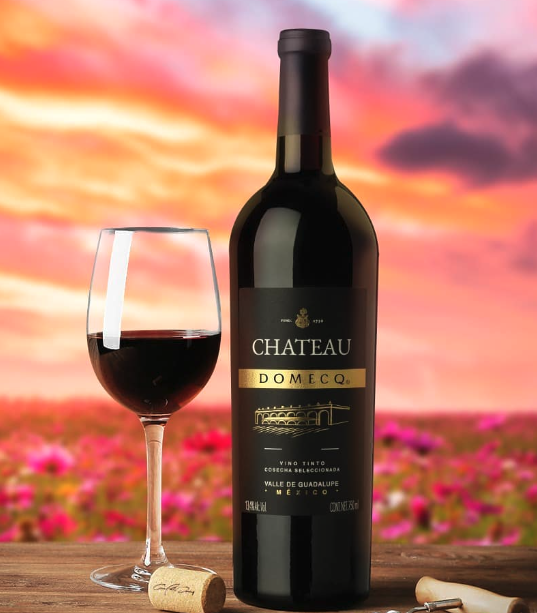 🇲🇽🍷🇲🇽🍷🇲🇽🍷
Si quieres impresionar con vino mexicano... visita La Winería de la sommelier <a href="/laurisantander/">Laura Santander</a> para que conozcas sus recomendaciones
Más información: copasycorchos.com/2022/11/la-win…