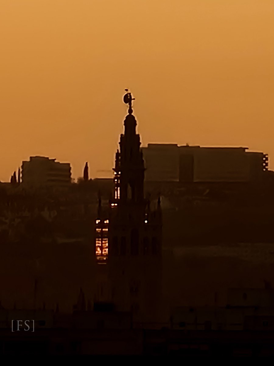#AmandoSevilla