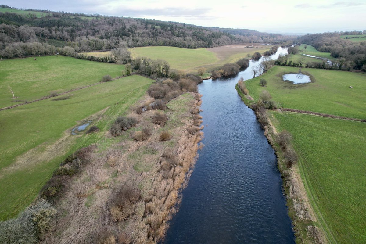 Bill Power 🇮🇪🇪🇺 (@brigobhann) on Twitter photo Flying over the Munster Blackwater downriver from Ballyduff, Co #Waterford this afternoon. My long overdue ook on that glorious river, known as the ‘Irish Rhine’ in 19th century literature, will be published in late April. <a href="/LismoreHC/">Lismore Heritage Co</a> <a href="/MallowHeritageC/">MallowHeritageCentre</a> Flying over the Munster Blackwater downriver from Ballyduff, Co #Waterford this afternoon. My long overdue ook on that glorious river, known as the ‘Irish Rhine’ in 19th century literature, will be published in late April. <a href="/LismoreHC/">Lismore Heritage Co</a> <a href="/MallowHeritageC/">MallowHeritageCentre</a>