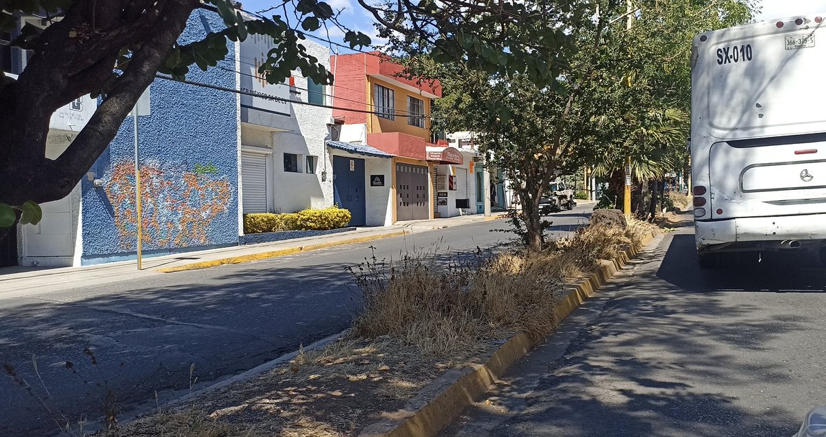 chumbert1's tweet photo. La denuncia pública en redes es una forma de supervisar omisiones @MunicipioOaxaca, con el objetivo de que puedan ser corregidas. Aquí vemos una falta de atención en la mayoría de las jardineras en la Col. Reforma, y esto lleva mucho tiempo. No todo es el Zócalo de la cd. #Oaxaca https://t.co/Lhqsh737ed